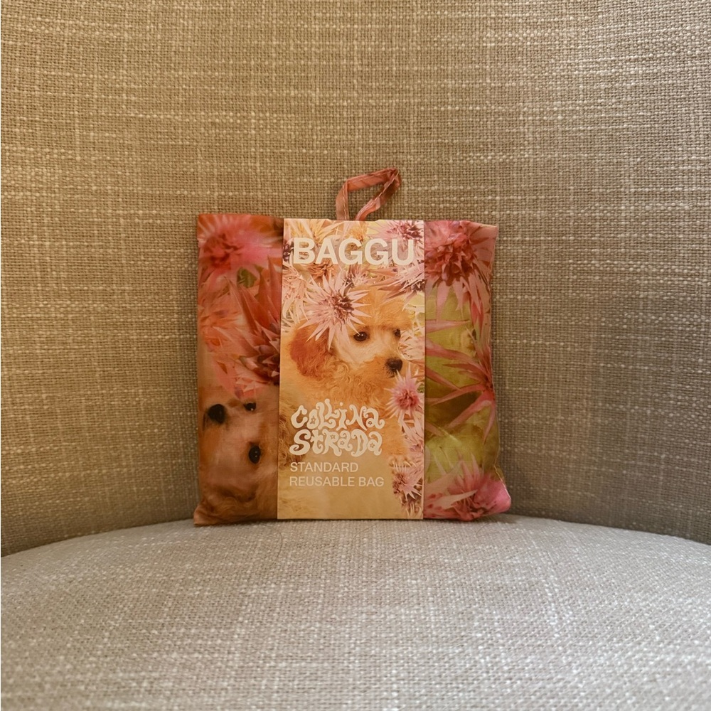 NEW BAGGU x Collina Strada Spikey Puppy Standard BAGGU